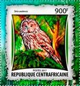 Ural Owl (Strix uralensis)